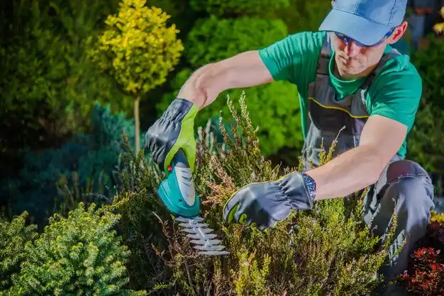 landscaping services Amsterdam